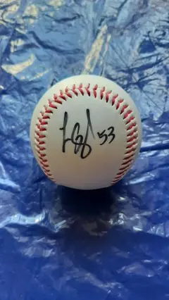 MLB  ルイス ゴンザレス　直筆サイン入りフォト　アリゾナダイヤモンドバックス MLB ルイス ゴンザレス 直筆サイン入りフォト アリゾナ