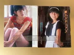 榎田路子 雑誌 切り抜き ２枚４ページ