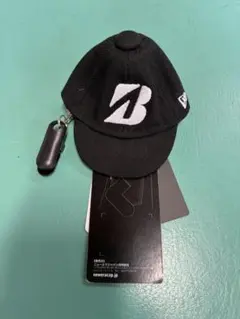 Item thumbnail for item d6e28e92-25ab-49d8-bde9-ef370d69177e