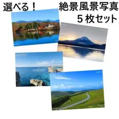 Item thumbnail for item 16299e03-e928-4bd7-b047-c7d7b198ab3a