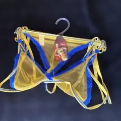 透け透けランジェリー/勝負下着/セクシーランジェリー