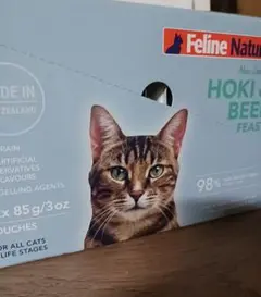 Item thumbnail for item 2ea55ce4-3764-47df-a37e-e4d2be7c1ca7