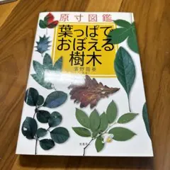 葉っぱでおぼえる樹木 原寸図鑑