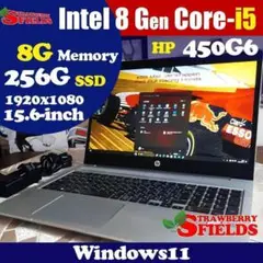 HP 450G6 第8世代 i5 1920x1080 256G/SSD 8G