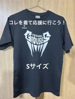 富山グラウジーズ Tシャツ Sサイズ 黒
