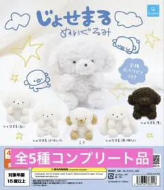じょせまる ぬいぐるみ　全5種コンプリート品