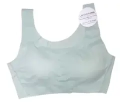 Item thumbnail for item d162f1c8-5ddf-4b72-9a8d-2b191cd9e7a9