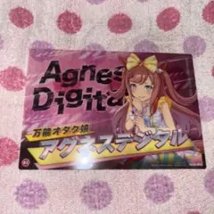 アグネスデジタル クリアビジュアルポスター01