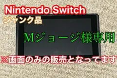 Nintendo Switch ジャンク品 画面のみ