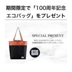 LE CREUSET　ルクルーゼ　100周年記念エコバッグ