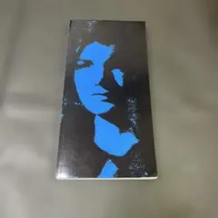 REVOLUTION:ART OF THE SIXTIES ウォーホルからボイス