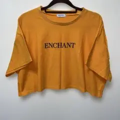 最安値❣️aquaist ENCHANT 刺繍 クロップドTシャツ オレンジ L