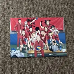 劇場版ハイキュー!!ゴミ捨て場の決戦 入場者特典 音駒高校最後の集合写真