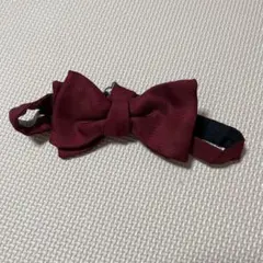 Item thumbnail for item 49bbbf0d-12f2-4987-9f55-24ec32276b0e