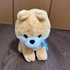 ラブリーパピー　ポメラニアン