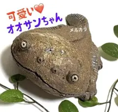 可愛い❤️縁起物❣️オオサンちゃん❤️陶器人形、置物、作家、爬虫類、両生類、フィギュア