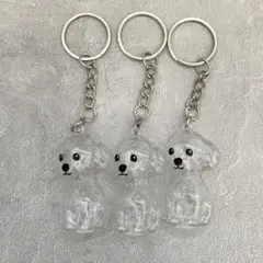 Item thumbnail for item c30c888a-3faa-4871-9c54-c717049475c6