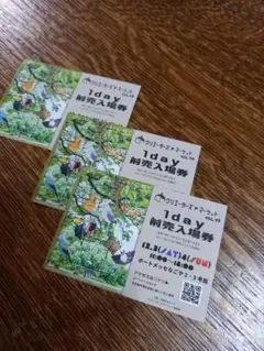 名古屋 クリエイターズマーケット入場券3枚