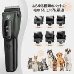 Item thumbnail for item fbaa4e50-404b-4b5c-908a-0332282e18f0