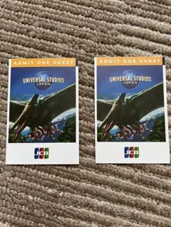 USJ ユニバーサルスタジオジャパン⭐︎パートナーパス大人2枚⭐︎