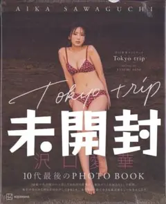 DVD付き 写真集 Tokyo trip 沢口愛華 フォトブック