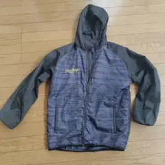 Item thumbnail for item 4cc4a305-dbd9-4843-ba3e-b3992943207a