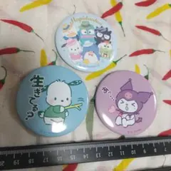 サンリオ　缶バッジ　缶ミラー　まとめ売り　クロミ　ポチャッコ　はぴだんぶいあ