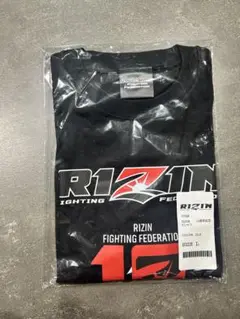 Item thumbnail for item 5534ad01-24f5-4879-bb5d-f54be117dcb4