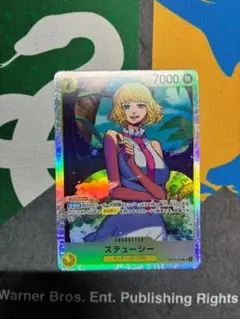 ステューシー SR OP13-110　おまけ付