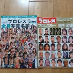 2023プロレスラー全身写真名鑑 ・プロレスラーカラー選手名鑑2023