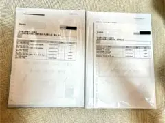 Item thumbnail for item 164fdf50-36c7-4854-ad6f-92ecd9b2c1bf