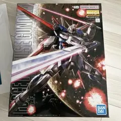 MG フォースインパルスガンダム