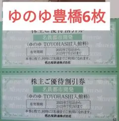 ゆのゆ豊橋 TOYOHASHI 優待割引券 6枚 名鉄 株主優待