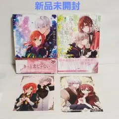 新品未開封 落ちこぼれ魔女と恋を知らない天才魔術師 2~3巻セットイラストカード