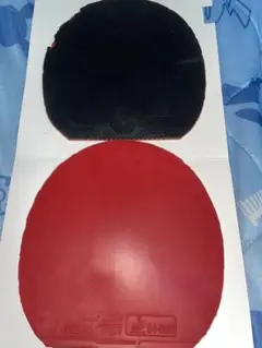 卓球ラバー ジェネクション ディグニクス05