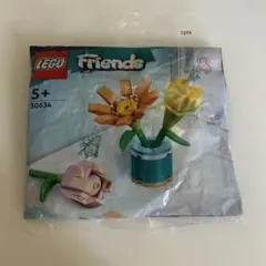 【新品未開封】LEGO Friends 30634 花と鉢のブロックセット