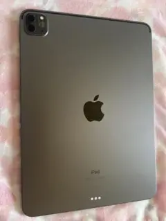 Apple iPad Pro第二世代128GB バッテリー残量100%