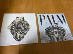 PALM 7インチレコード2枚