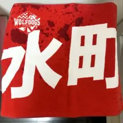 バレーボール オールスター 水町泰杜 タオル キーホルダー 2025年最新】水町泰杜 タオルの人気アイテム - メルカリ