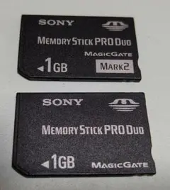 SONY MEMORY STICK PRO DUO 1GB 2枚