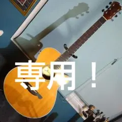 James JE450 エレアコギター　即日発送 James JE450 エレアコギター 即日発送