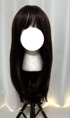 高品質ウィッグ ストレート 耐熱 黒髪 かつら ロングヘア 自然色 ブラウン