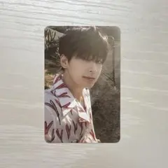 SEVENTEEN ウォヌ トレカ