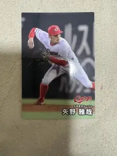 矢野雅哉 トレーディングカード カルビー