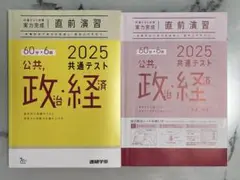 2025 共通テスト対策 公共政治経済