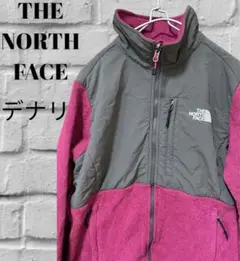 ちい様専用 USA規格 POLARTEC ザノースフェイス デナリジャケット