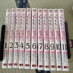 世界でただ一人の魔物使い 全11巻セット