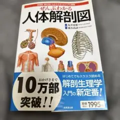 ぜんぶわかる人体解剖図 系統別・部位別にわかりやすくビジュアル解説　中古
