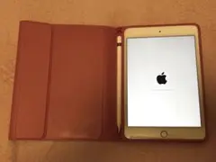 Apple iPad mini5 本体 +Apple Pencil(第1世代)