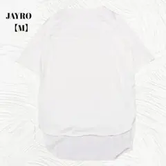 Item thumbnail for item 91829ed8-9021-4758-84cb-4c1ba2fe5969
